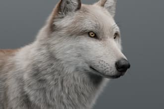 make 3d animal model with realistic fur, xgen hair and rigging