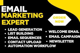 build email list, lead generation automated email sequences for startup business