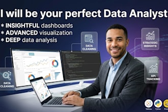 be your perfect data analyst