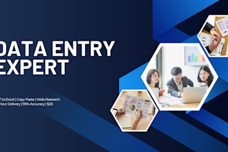 do accurate data entry, excel, copy paste in 24 hours