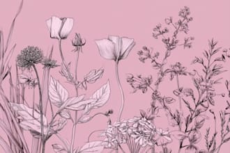 draw vintage botanical line art illustration for packaging and branding