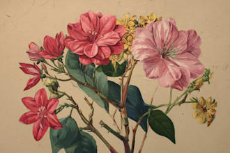 draw modern botanical illustrations and floral line art