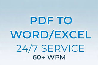 typing data entryfast PDF to word conversion expert