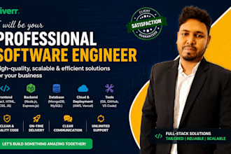 develop professional web applications