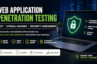 do professional web application penetration testing and vapt