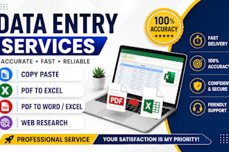 data entry excel pdf conversation