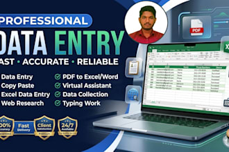 do professional data entry, web research and excel work