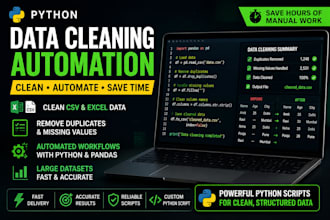 build custom python data cleaning scripts for large datasets