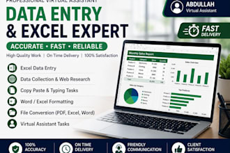 do professional excel data entry and spreadsheet