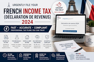 urgently file your french income tax declaration de revenus 2024