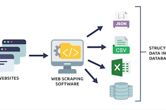 build a custom python web scraping script for data extraction