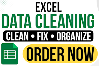 excel data cleaning, formatting and organization