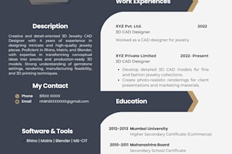 do accurate data entry, excel work and PDF conversion