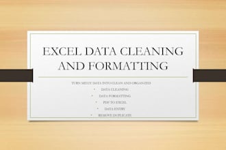 clean, organize, and format excel data and convert excel to pdf and pdf to excel