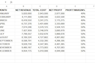 build a professional ecommerce financial model in excel
