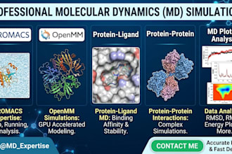 do molecular dynamics simulation and all necessary work flow