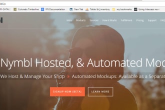 make codeigniter PHP website or fix any codeigniter issue