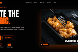 professional website design for your business in 24 hours