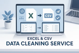 professionally clean and format excel or CSV data