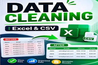 clean, format, and organize excel or CSV data