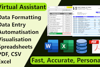 do data formatting, cleanup and entry for you