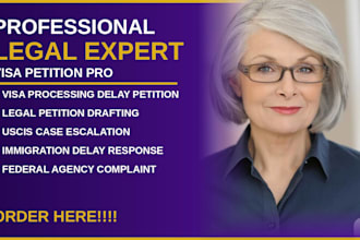 prepare a legal petition for visa processing delays
