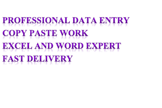 do data entry copy paste and typing