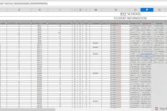 do excel data entry and spreadsheet formatting
