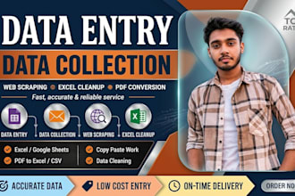 do fast and accurate data entry, data collection, scraping, and excel cleanup