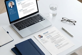 do professional CV resume writing and design service