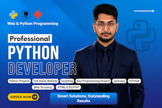 be your python programmer, custom software programmer and automation expert