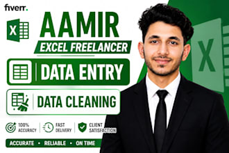 do excel data entry, data cleaning, formatting and copy paste tasks