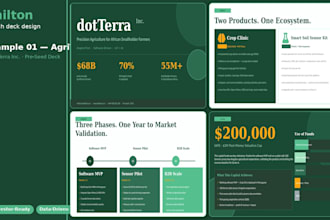 write a professional business plan and pitch deck for your startup