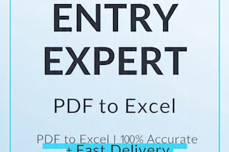 do fast accurate data entry, PDF to excel, copy paste