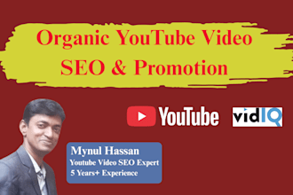 do organic youtube video SEO and channel optimization