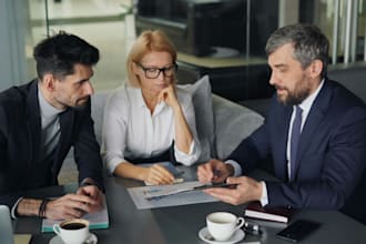 provide business consultancy services