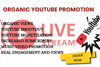 do organic youtube shoutout promotion for your channel