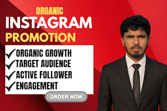 do professional instagram promotion for real audience growth