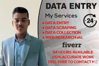 provide fast data entry and excel services