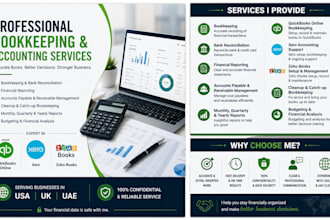 provide professional accounting and bookkeeping services