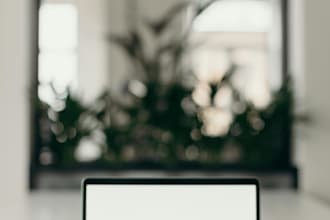 write professional letters for you
