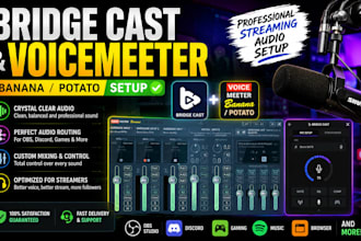 set up bridge cast and voicemeeter banana for streaming