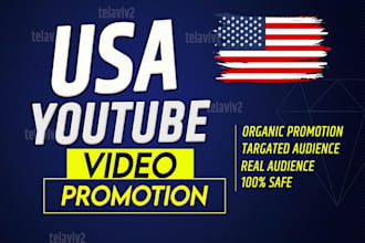do organic USA youtube video promotion for channel growth