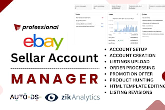 do ebay account manager expert