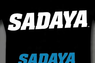 write your name in carolina panthers NFL font style logo