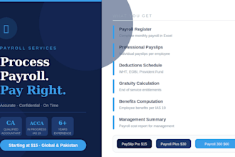 process payroll and prepare professional payslips in excel
