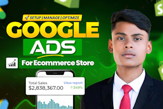 manage shopify google ads PPC shopping and pmax campaigns for ecommerce stores