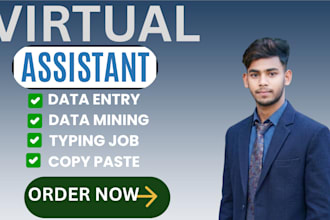 be your virtual assistant in 24 hours