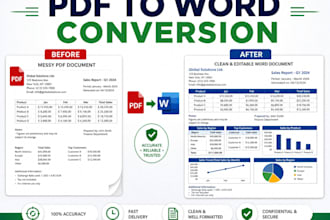 do data entry and PDF to excel conversion