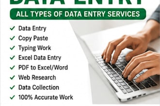 do fast data entry, excel, typing, and PDF conversion